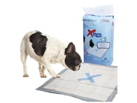 Pack 30 empapadores absorbentes para perros de Gloria Pack
