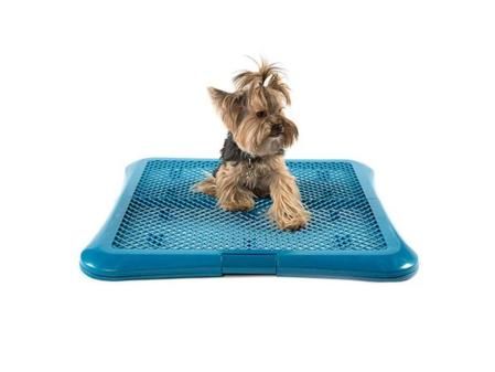 Tk-pet bandeja de adiestramiento para perros