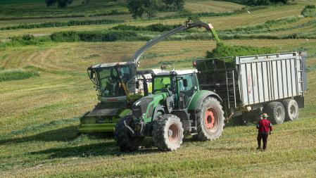 Recogiendo el forraje en el campo, en Manlleu.