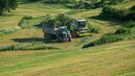 Recogiendo el forraje en el campo, en Manlleu.
