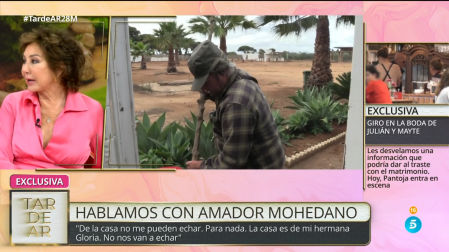 El programa de Ana Rosa Quintana, 'TardeAR', analiza en exclusiva el posible desahucio de Amador Mohedano