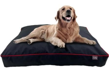 Colchoneta impermeable para perros