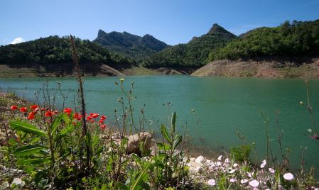 Paisaje primaveral en la Baells.