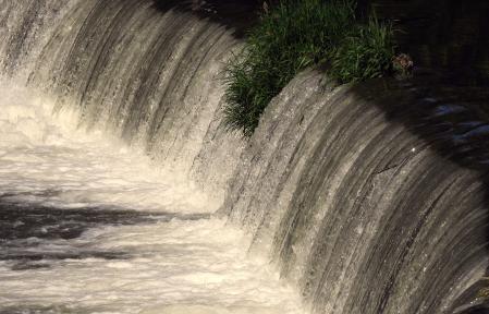 Ruta dels Pous de Manlleu a Roda.