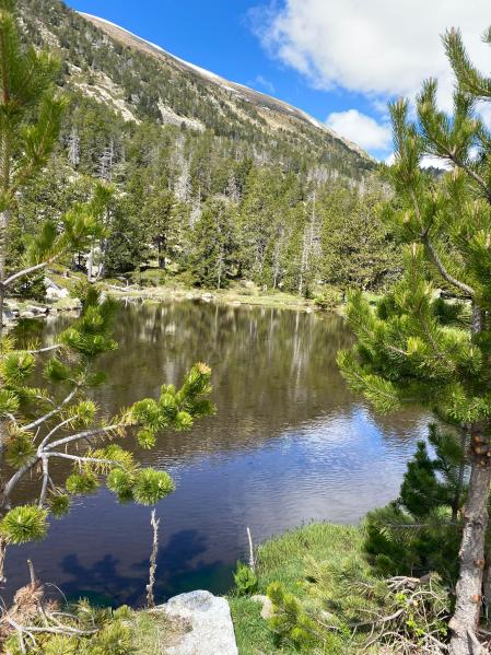 Durante el recorrido pudimos ver lagos, ríos e incluso algunas cimas con nieve.