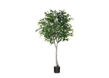 Ficus Artificial