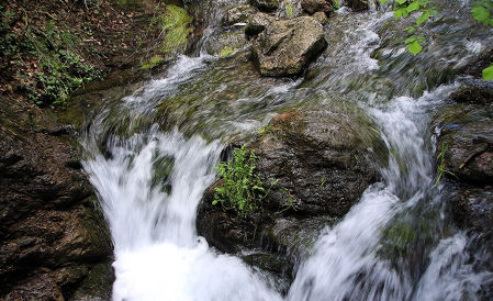 Fuentes del Llobregat.