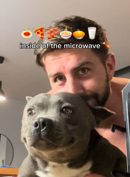 La cara de felicidad de un pitbull al descubrir nuevos lugares en su casa: “Me muero con esa sonrisa”