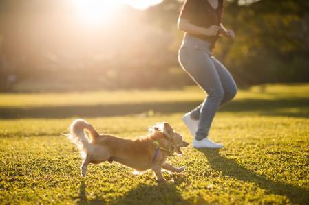 Una mujer jugando con su perro.