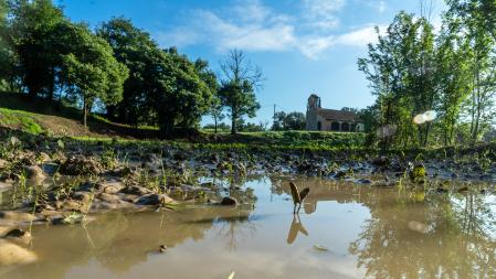 Campo inundado en Granollers de la Plana.