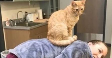 La bondad y capacidad para entender las necesidades de los demás convierten a Ron en un verdadero ángel guardián para los animales en recuperación