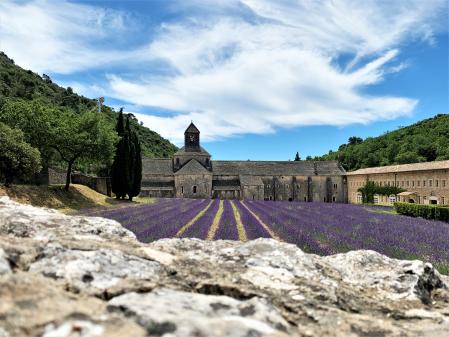 La abadía de Senanque es una de las postales más icónicas de la Provenza durante la floración