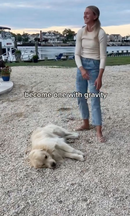 golden resiste a irse