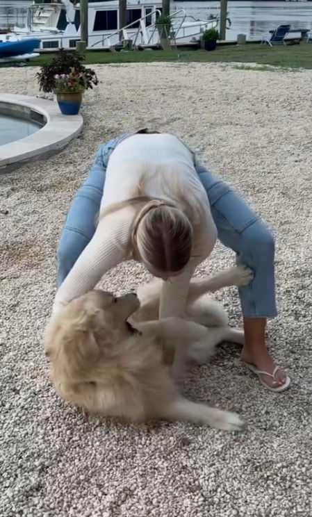 golden resistiéndose