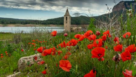 Pantano de Sau casi al 50%.