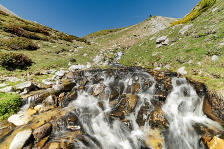 El nacimiento del Ter.