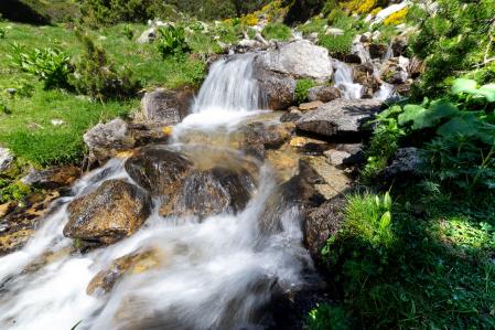 El nacimiento del Ter.