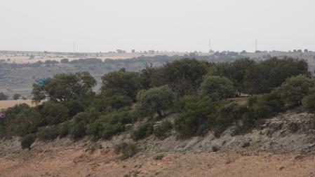 Solución al Reto visual de las tres aves.