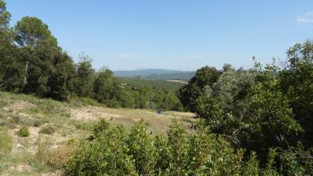 La posición del corzo señalizada.