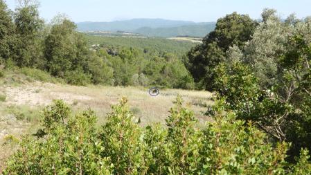 Solución al Reto visual del corzo, cuya posición aparece señalizada.