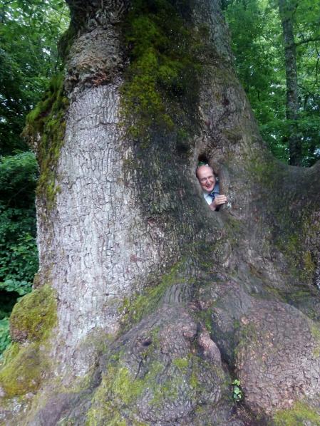 El árbol devora hombres.