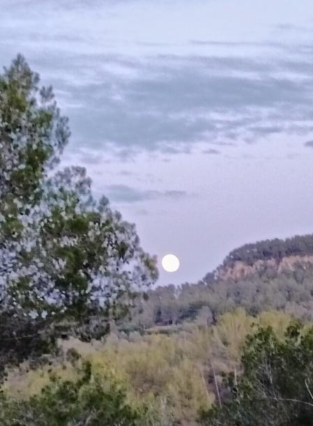 Luna de Fresa en Corbera de Llobregat.