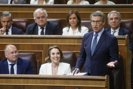 MADRID, 12/06/2024.- El líder del PP, Alberto Núñez Feijóo, durante su intervención en la sesión de control al Ejecutivo este miércoles en el Congreso. EFE/ Fernando Alvarado
