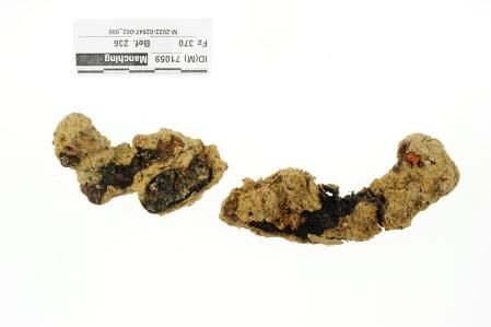 Los restos de la suela del zapato contenía clavos y restos de uñas