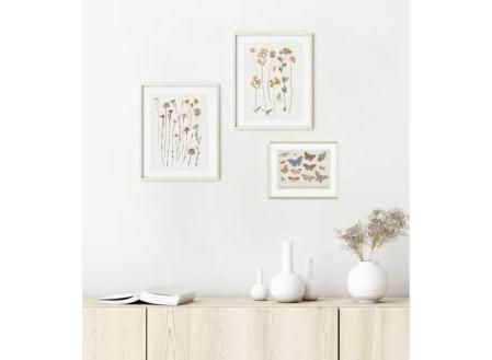 Set 3 láminas Herbario