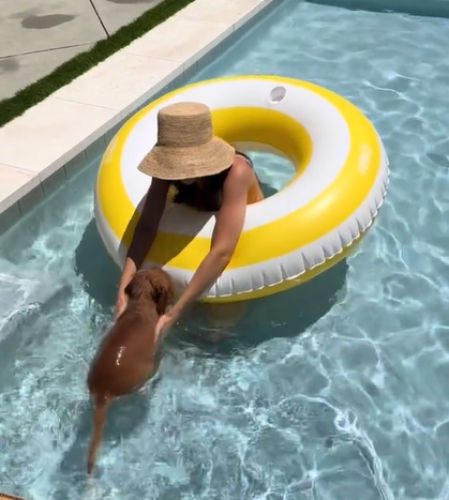 Junie visitó a cada persona presente en la piscina.