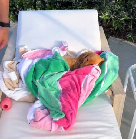 Finalmente, Junie cayó rendida.