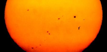 Vuelo de la golondrina con las manchas solares de fondo.