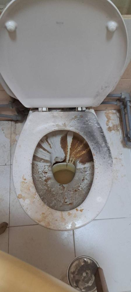 Estado del inodoro de la casa