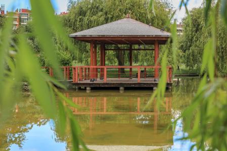 Pagoda y estanque en el parque Yamaguchi, Pamplona