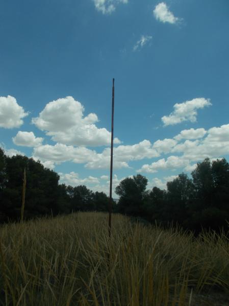 Parque Regional del Sureste en Madrid.