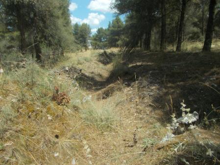 Parque Regional del Sureste en Madrid.