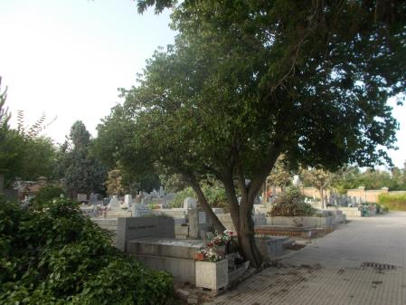 Cementerio de La Almudena.