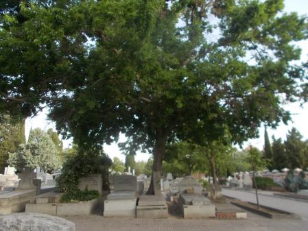 Cementerio de La Almudena.