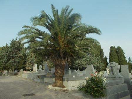 Cementerio de La Almudena.