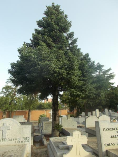 Cementerio de La Almudena.