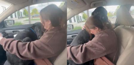 Seiko, el perrito abandonado que no se quiere separar de su nueva familia adoptiva