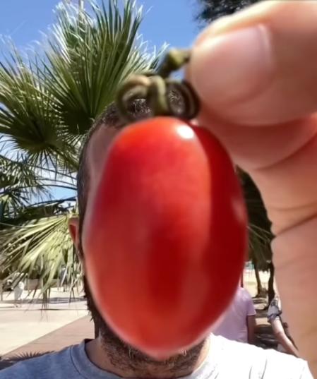 El tomate cherry pera es el más adecuado para hacer espaguetis al pomodoro o a la napolitana.