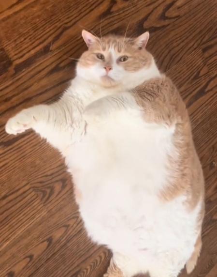 Biggie Smalls ha conquistado a los usuarios de TikTok.