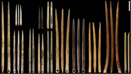 Agujas con ojos recuperadas de la última edad de hielo.