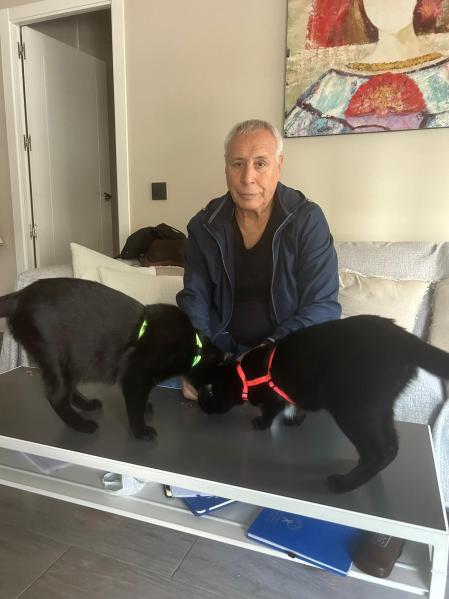Antonio afirma que sus gatos les han dado mucha paz, mucha tranquilidad