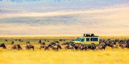 Cráter del Ngorongoro