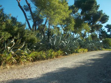 Quinta de Torre Arias.