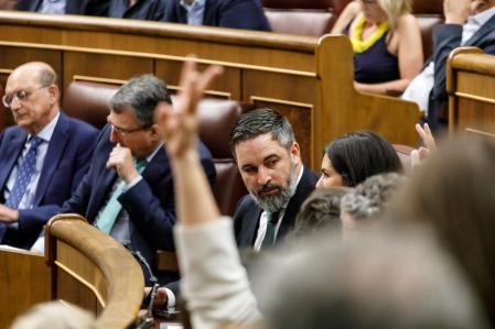 Pleno en el Congreso de los Diputados Santiago Abascal Vox