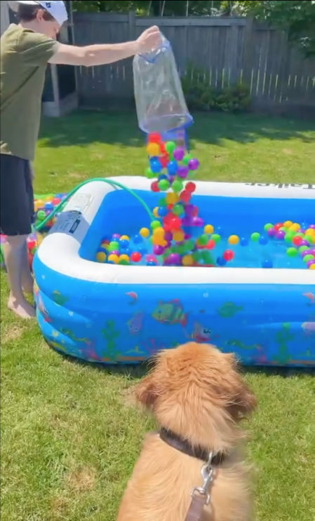 golden regalo piscina