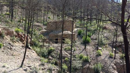 Barraca de Vilamora con algo de vegetación alrededor